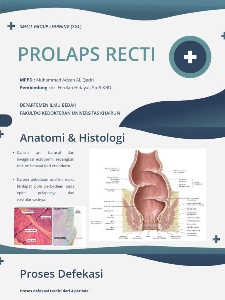 Prolaps Rectal - Ilmu Bedah | PDF