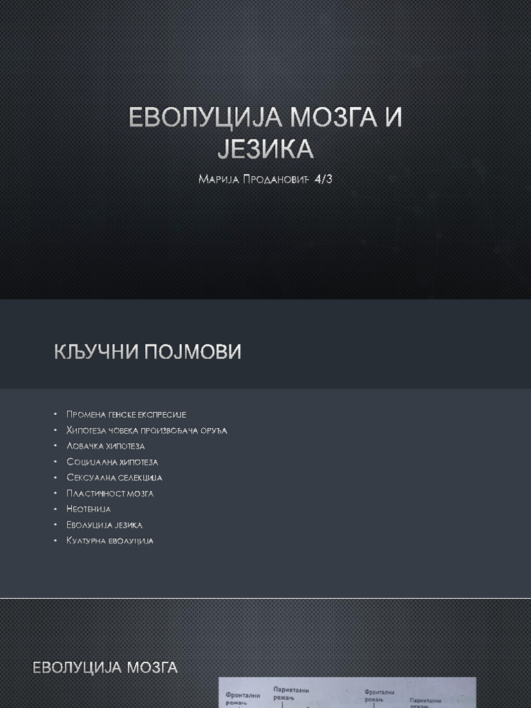 еволуција мозга и језика | PDF