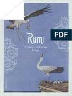 Rumi. .Meiles - Ir.isminties - knyga.2017.LT