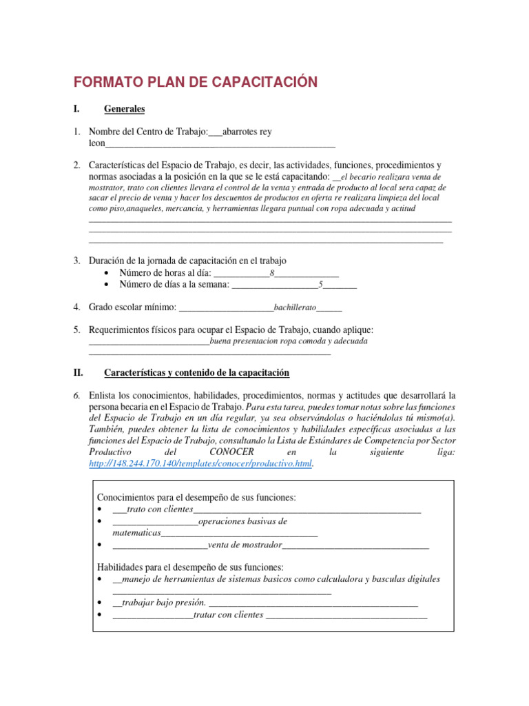 Plan de Capacitación para Jóvenes | PDF