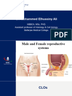 Male and Female Genital Systems 2