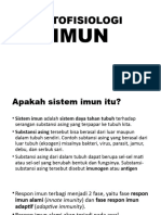 Imun