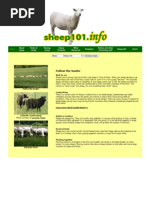 Sheep 101_ sheep behavior.pdf 2
