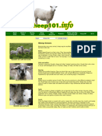 Sheep 101 - Sheep Senses - PDF 4