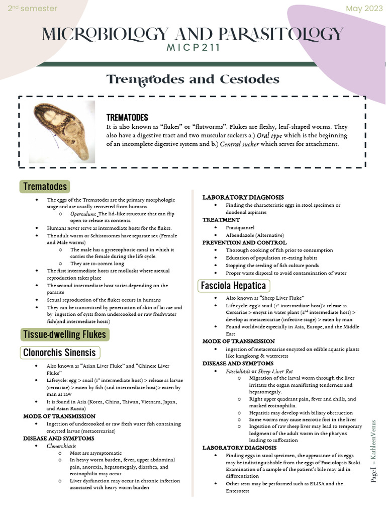 2.14 - Trematodes and Cestodes | PDF | Causes Of Death | Medical ...