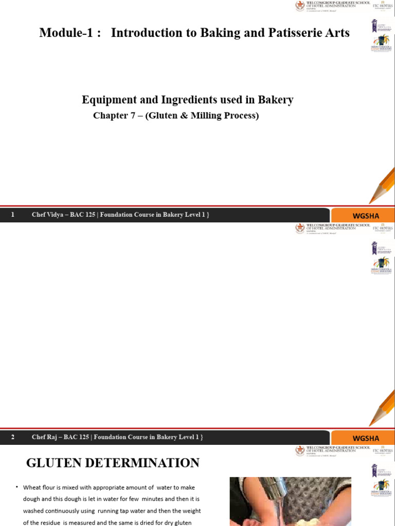 Module 1 - CH 7 Gluten & Milling | PDF | Gluten | Flour