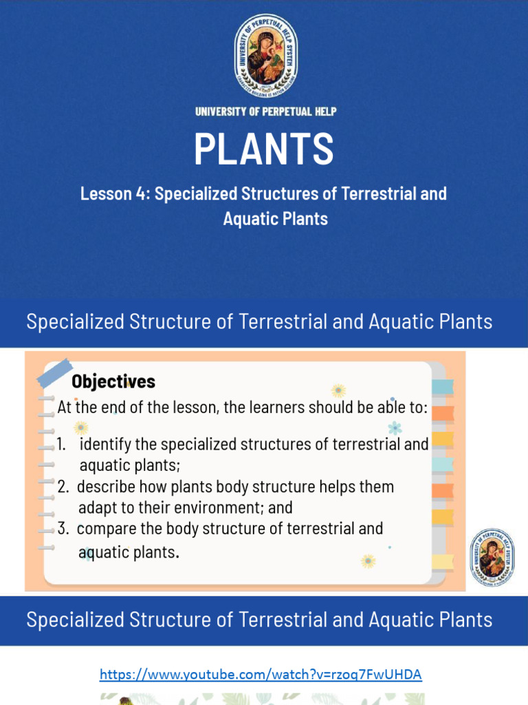 SCIENCE4Week4_Lesson4_SpecializedStructuresofTerrestrialand