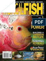 English - Tropical Fish Hobbyist.11.2009