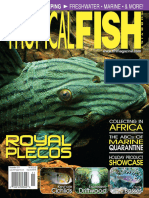 Tropical Fish Hobb Is T 201111