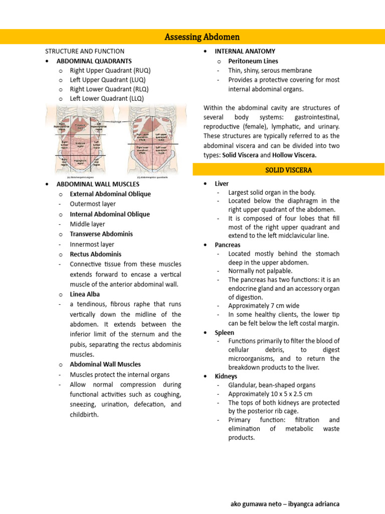 Abdominal Assessment and Anatomy Overview | PDF | Abdomen ...