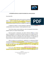 La Resigificacion de Las Identificaciones en La Adolescencia