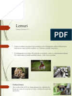 Lemuri Preznetacija