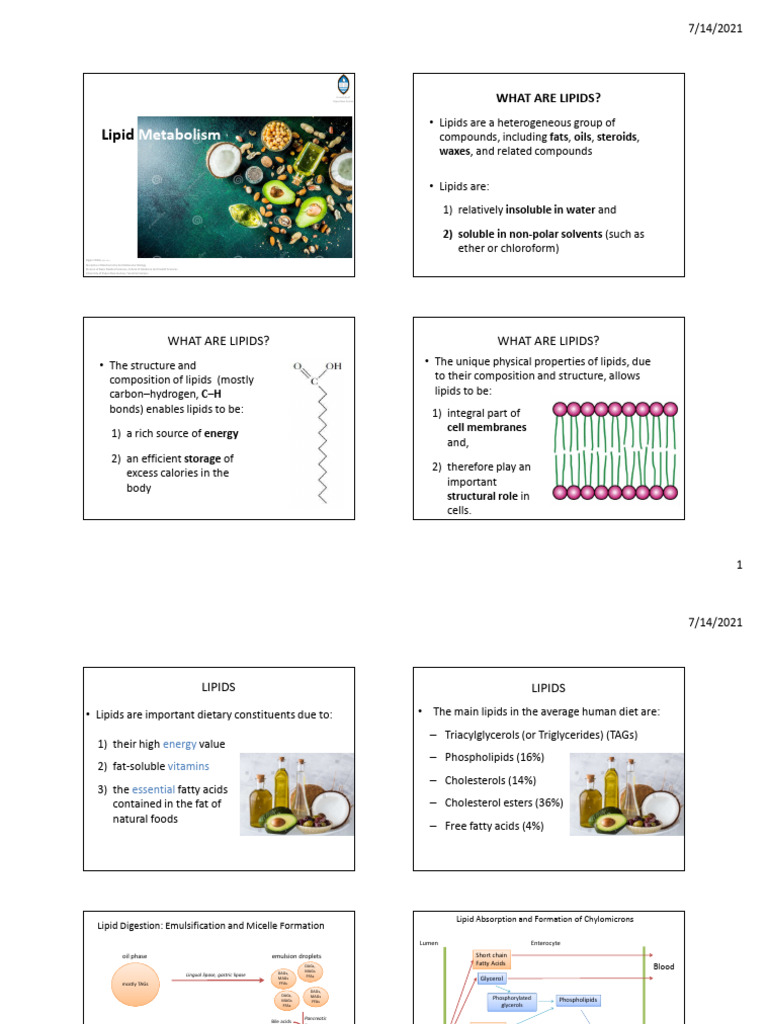 Lipid Metabolism 2021 Lecture Notes | PDF | Lipid | Fatty Acid