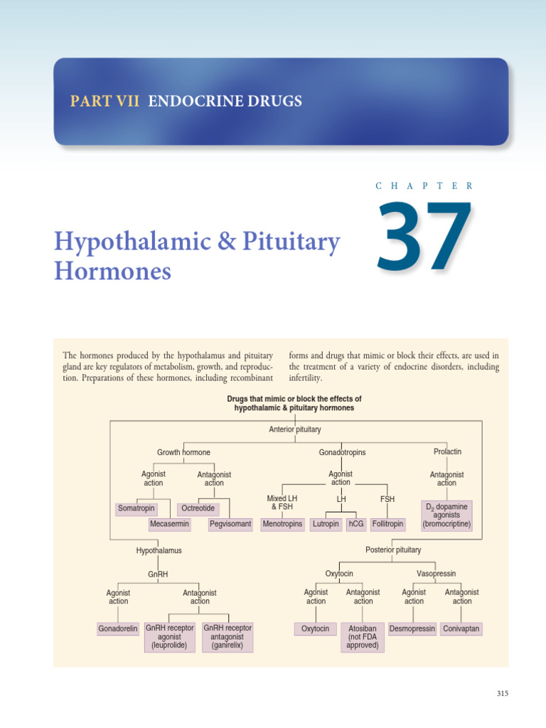 Hypothalamic & Pituitary Hormones Guide | PDF | Luteinizing Hormone ...