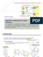 Tema 5. Digestion Glucidos. Glucolisis