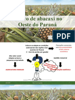 Cultivo Do Abacaxi No Oeste Do Paraná