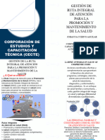 Gestión de La Ruta Integral de Atención para La Promoción y Mantenimiento de La Salud