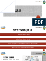 Pertemuan Sistem Saraf