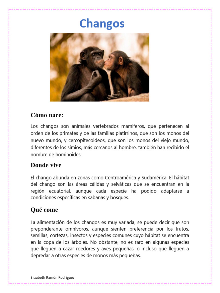 Chango | PDF