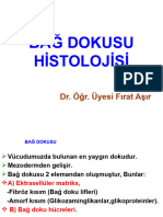 5 Bağ Dokusu