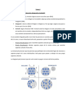 Tema 2 - Xarxes D'intervenció Social