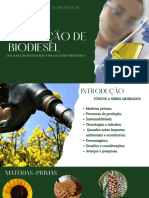 Produção de Biodiesel