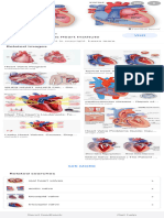 Valves of The Heart - Google Search