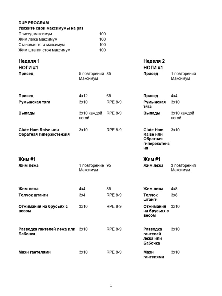 David Laid DUP Program | PDF