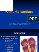 Ritmurile Cardiace