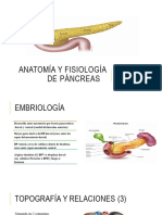 Anatomia y Fisiologia Del Páncreas