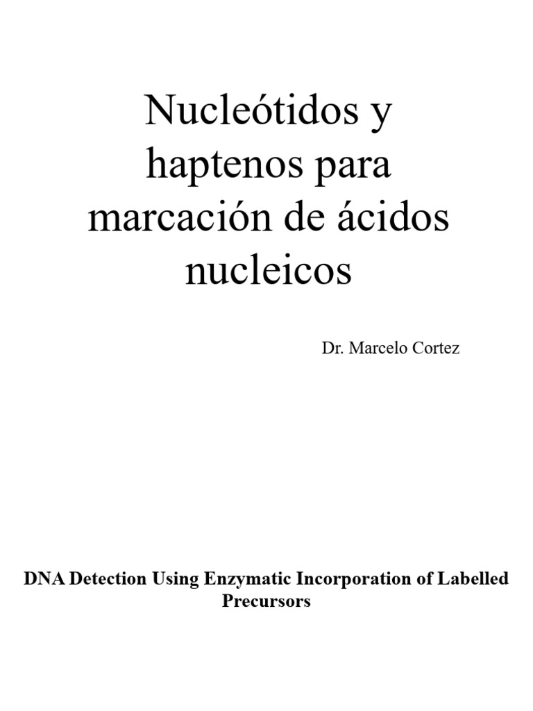Non-Radioactive DNA Labeling Methods | PDF | Dna | Biology