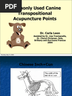Canine Acupuncture Points Guide | PDF | Anatomical Terms Of Location ...