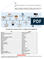 Decomposição Do Lixo