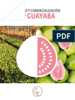 PNUD Cuba GUAYABA Cultivo Comercializacion