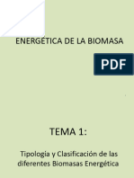 BIO Energetica de La Biomasa