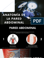 Anatomía de La Pared Abdominal