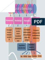 Mapa Conceptual - Ramas de La Biopsicologia