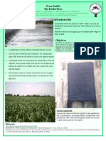 Agroecologia Poster2