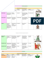 Tablas de Musculos