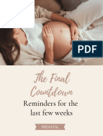 The Final Countdown PRENATAL FR 2