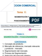 5 Tema V Segmentación y Posicionamiento