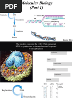 Mira Molecular Biology Part1