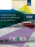 Anizações Empreendedoras e Inovadoras