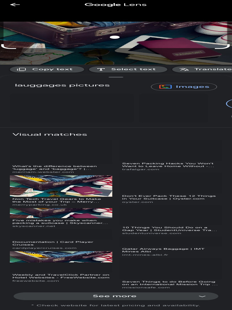 Luggages Google Search PDF Baggage Domestic Implements