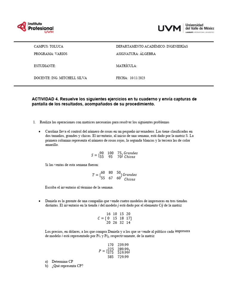 Actividad 4. Ejercicios | PDF | Matriz (Matemáticas)