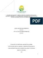 Documento Final DUVAN