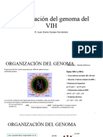 Organización Del Genoma Del VIH