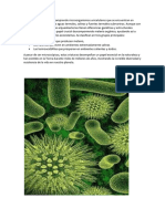 El Reino Arqueobacteria Comprende Microorganismos Unicelulares Que Se Encuentran en Ambientes Extremo