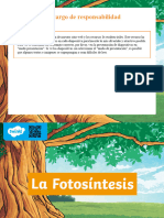 Powerpoint La Fotosintesis