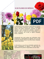 Produccion de Flores en Mexico 2020 Final